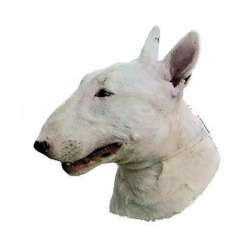 Autocollants Bull Terrier blanc - 7 cm - Lot de 4 de marque :