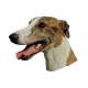 Autocollants Levrier anglais Greyhound - 7 cm - Lot de 4 de marque :