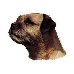 Autocollants Border Terrier - 7 cm - Lot de 4 de marque :