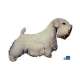 Autocollants Sealyham Terrier - 7 cm - Lot de 4 de marque :