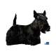 Autocollants Scottish Terrier - 7 cm - Lot de 4 de marque :