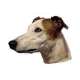 Autocollants Levrier anglais Greyhound - 14 cm - Lot de 2 de marque :