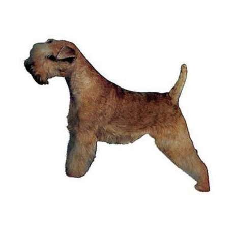 Autocollants Lakeland Terrier - 14 cm - Lot de 2 de marque :
