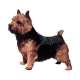 Autocollants Terrier de Norwich - 14 cm - Lot de 2 de marque :