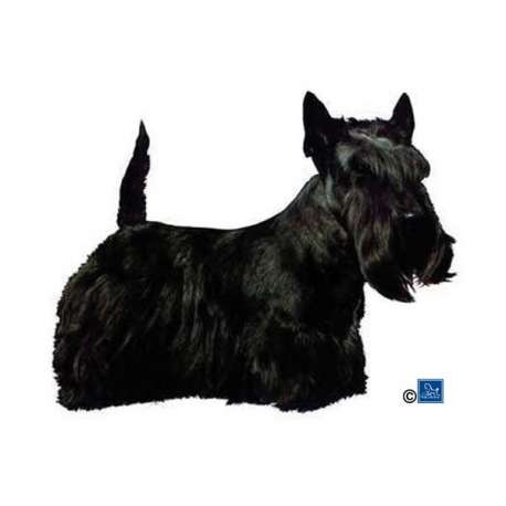 Autocollants Scottish Terrier - 14 cm - Lot de 2 de marque :