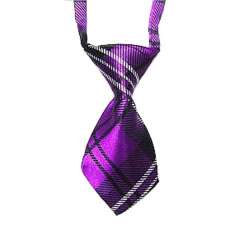 Cravate pour chien - Ecosse fushia de marque :