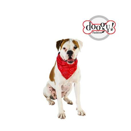 Bandana chien - Collier Bandana de marque : CANISLANA For dogs