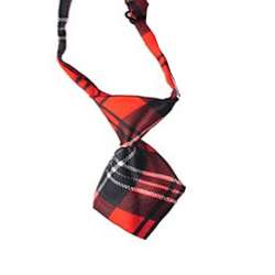 Cravate pour chien - Ecosse rouge et noir de marque :