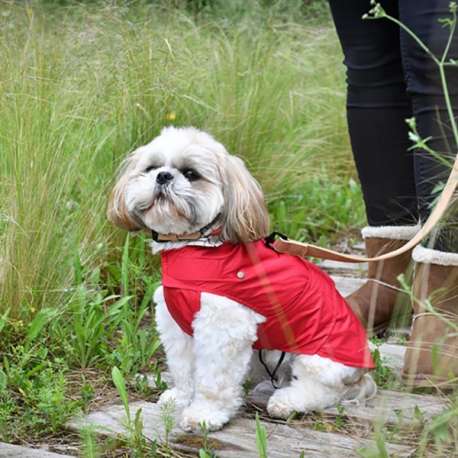 Destockage Imperméable pour chien Newgen Tonga rouge de marque : DOOGY