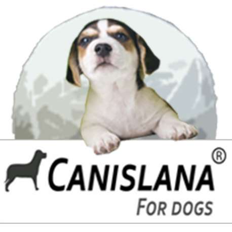 Tableau tailles pour chien - Guide des tailles - CANISLANA
